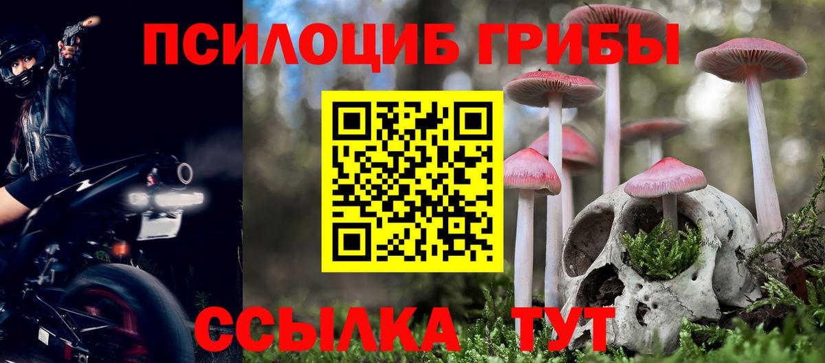Отрадное  Псилоцибиновые грибы MAGIC MUSHROOMS  Вход с VPN 